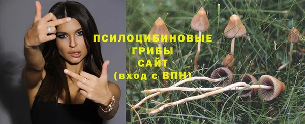 PSILOCYBIN Арсеньев