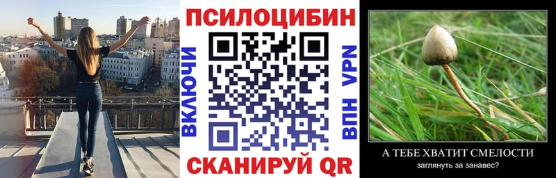 Псилоцибиновые грибы мухоморы  Купить закладки  Кохма 